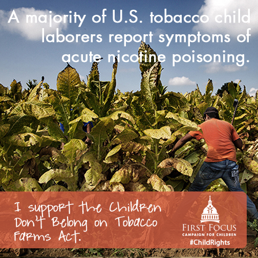 Tobacco Child Labor C